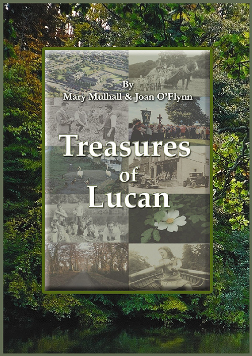 the cover of the book Treasures of Lucan