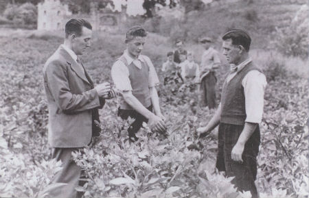 St. Catherines Workers